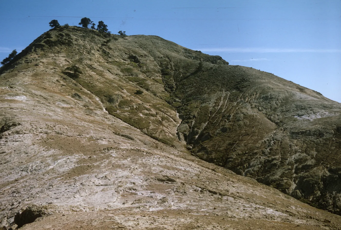 Santa Cruz Island, north side of Sierra Blanca summit