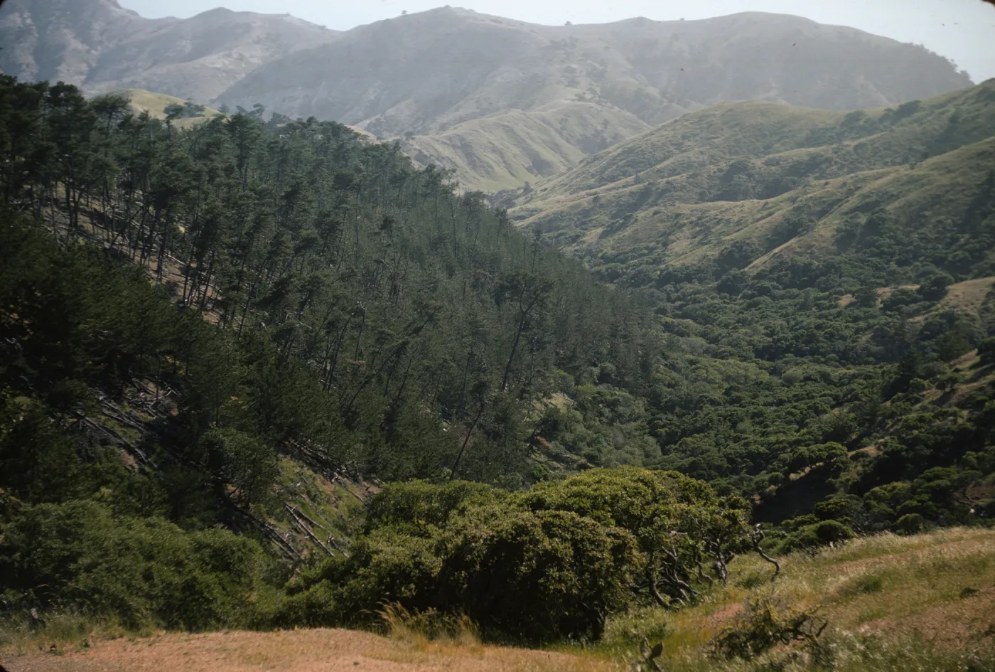 Santa Cruz Island