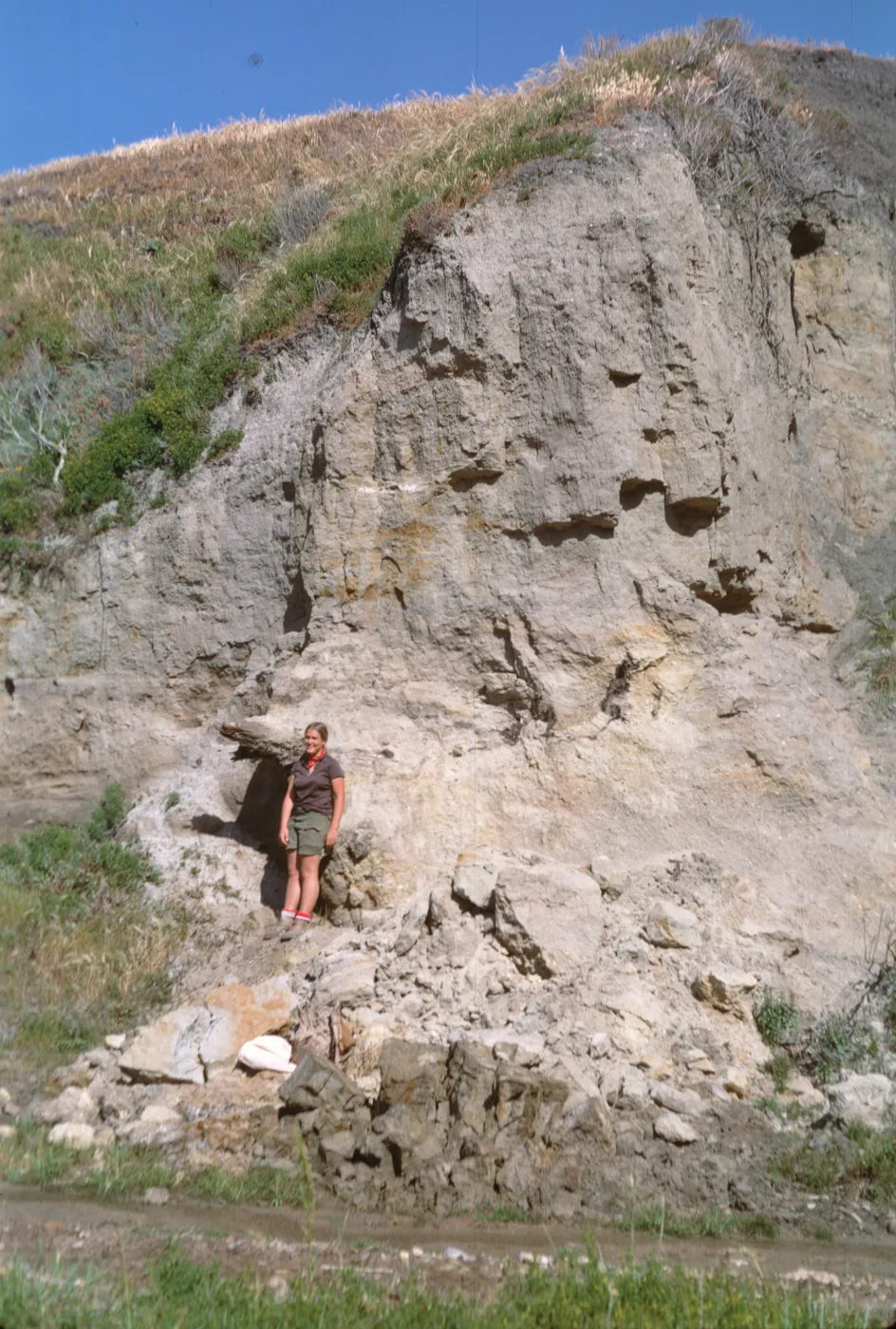 Canada de los Sauces, Sant Cruz Island