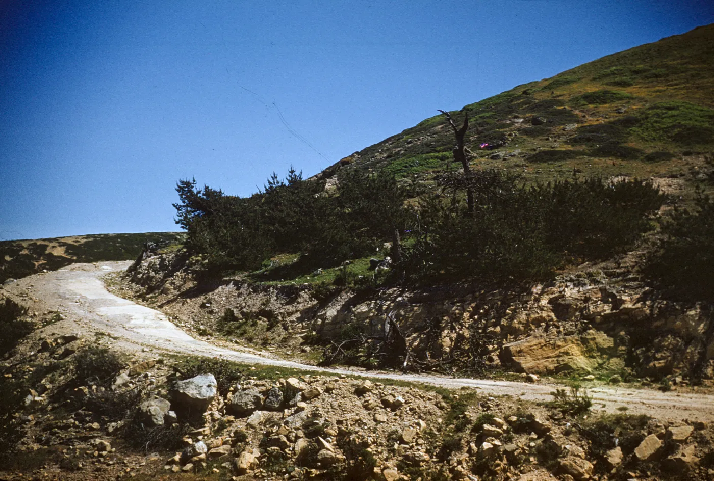Road on Santa Rosa Island