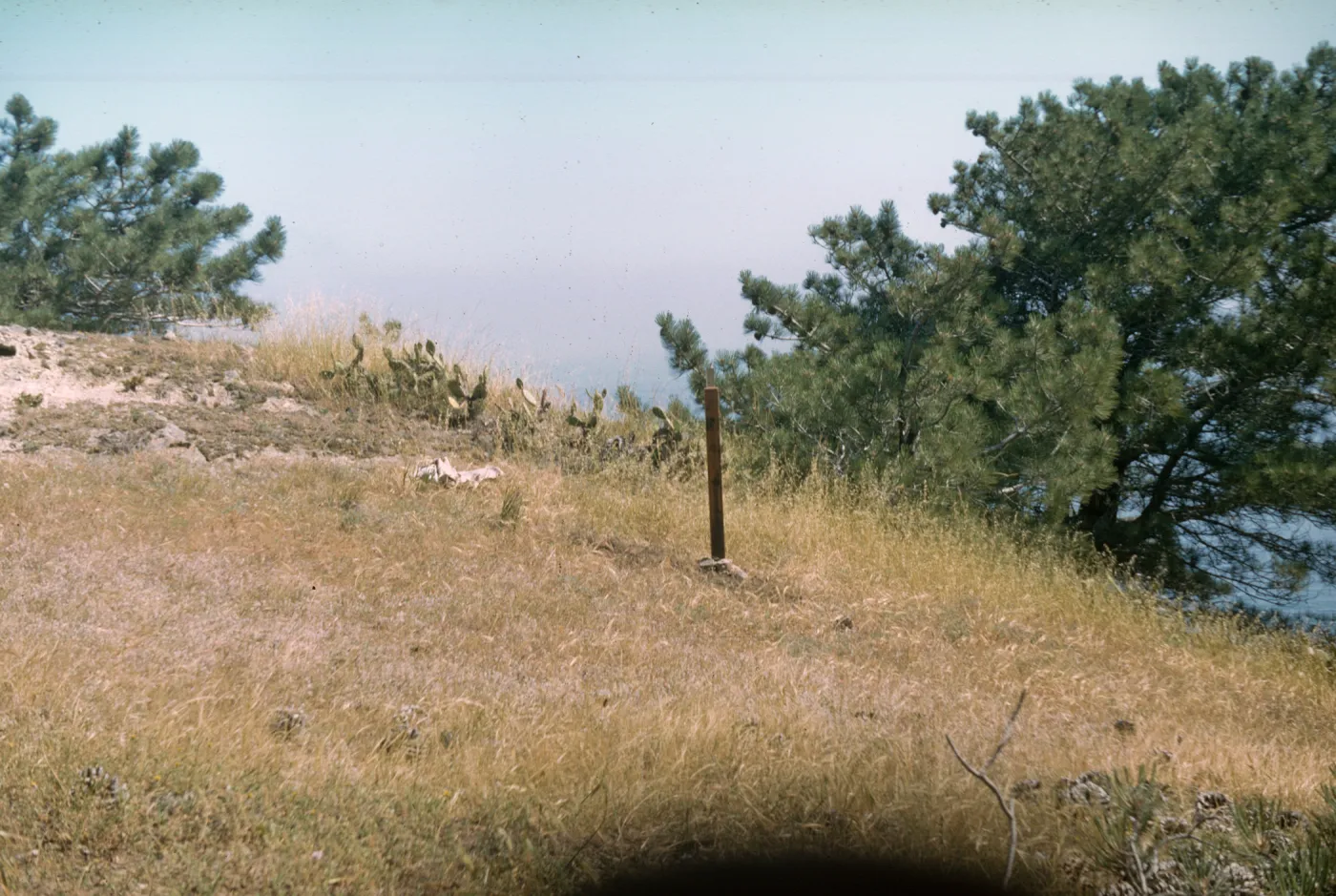Lower Torrey Pines Station, Santa Rosa Island