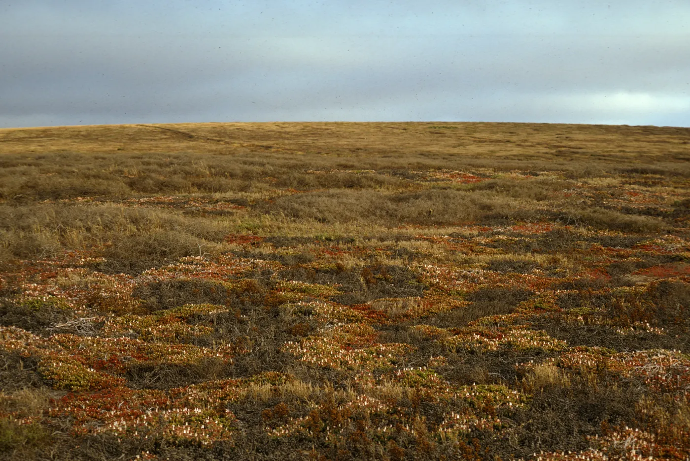 San Clemente Island