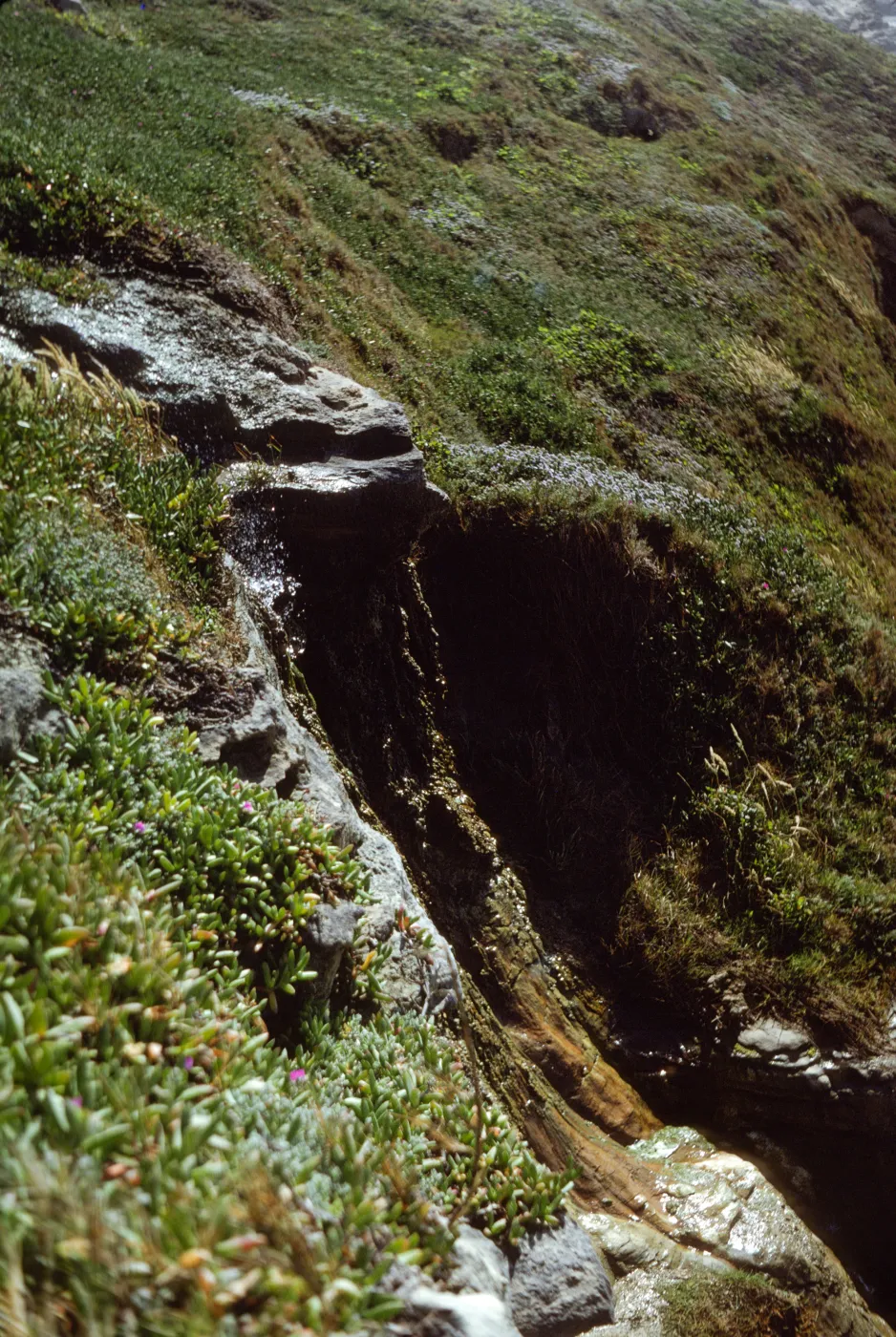 San Miguel Island, Otter Harbor peninsula