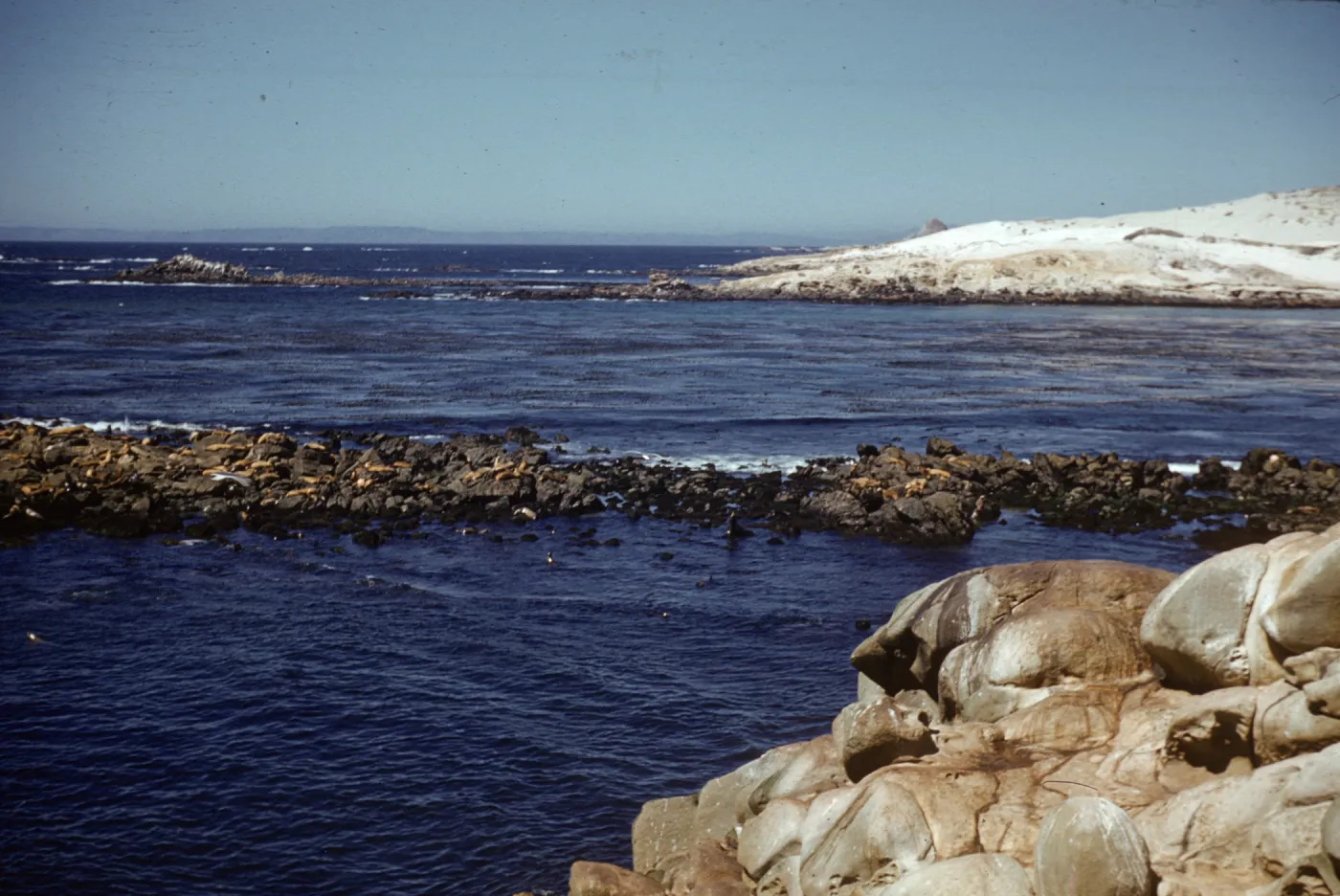 Point Bennett, San Miguel Island