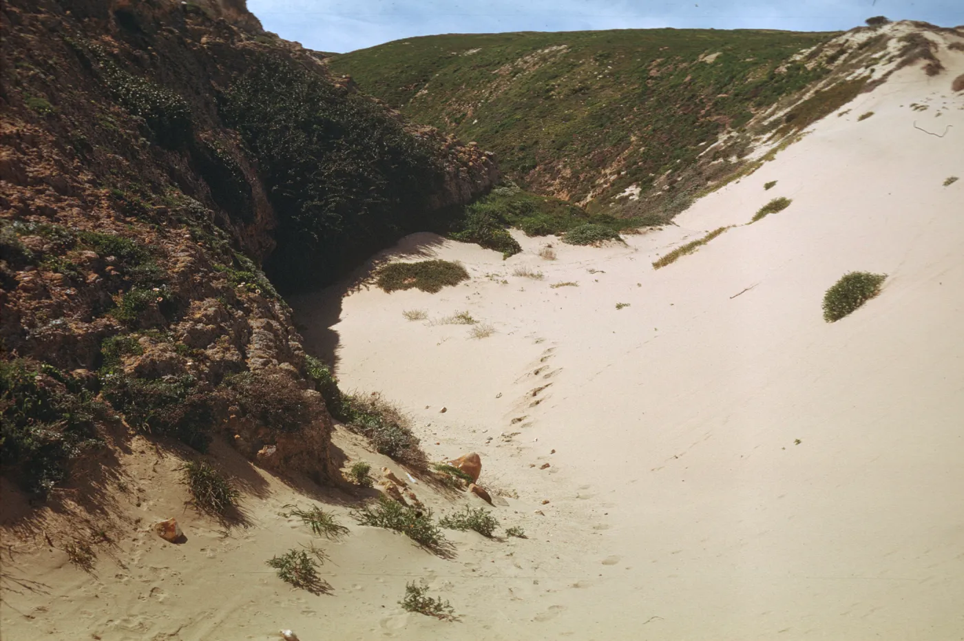 NPS dune drift measurement on San Miguel Island, Willow Canyon