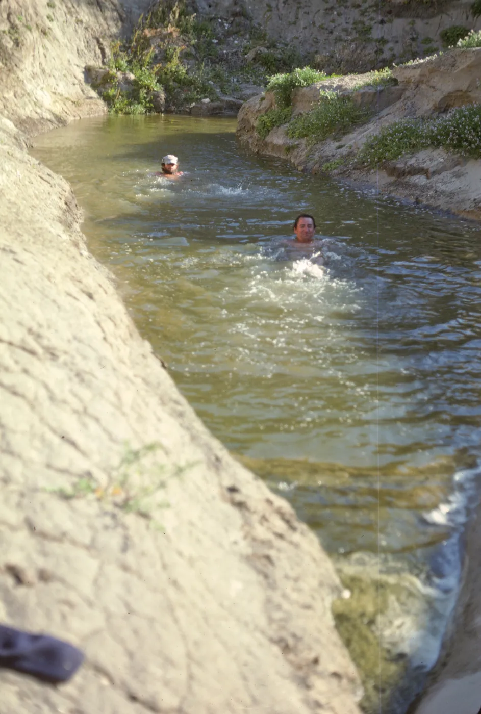 bathing in a pool in Willow Canyon, San Miguel Island
