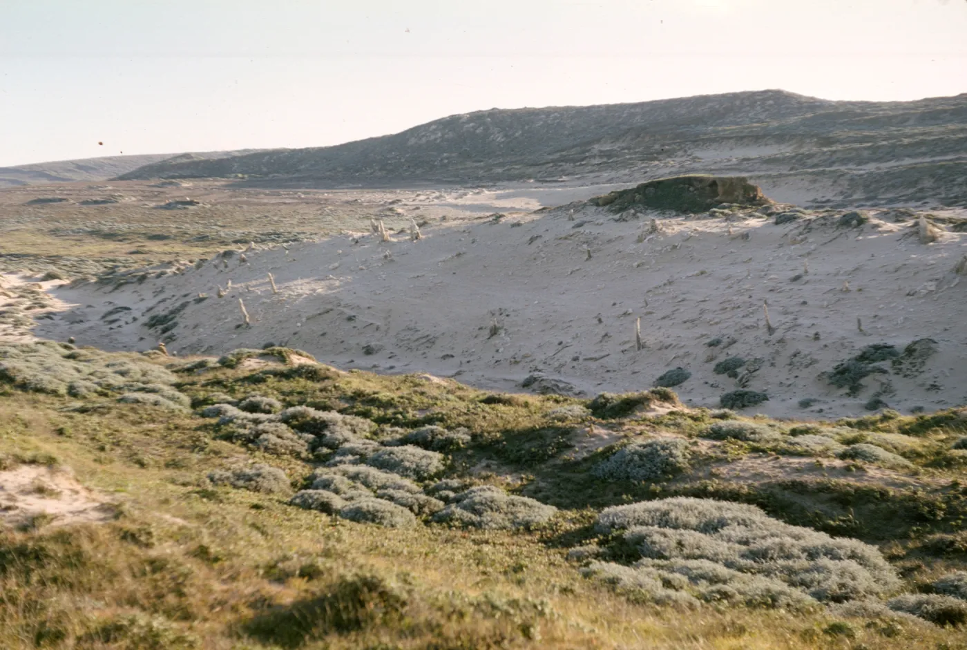 Concretions on San Miguel Island