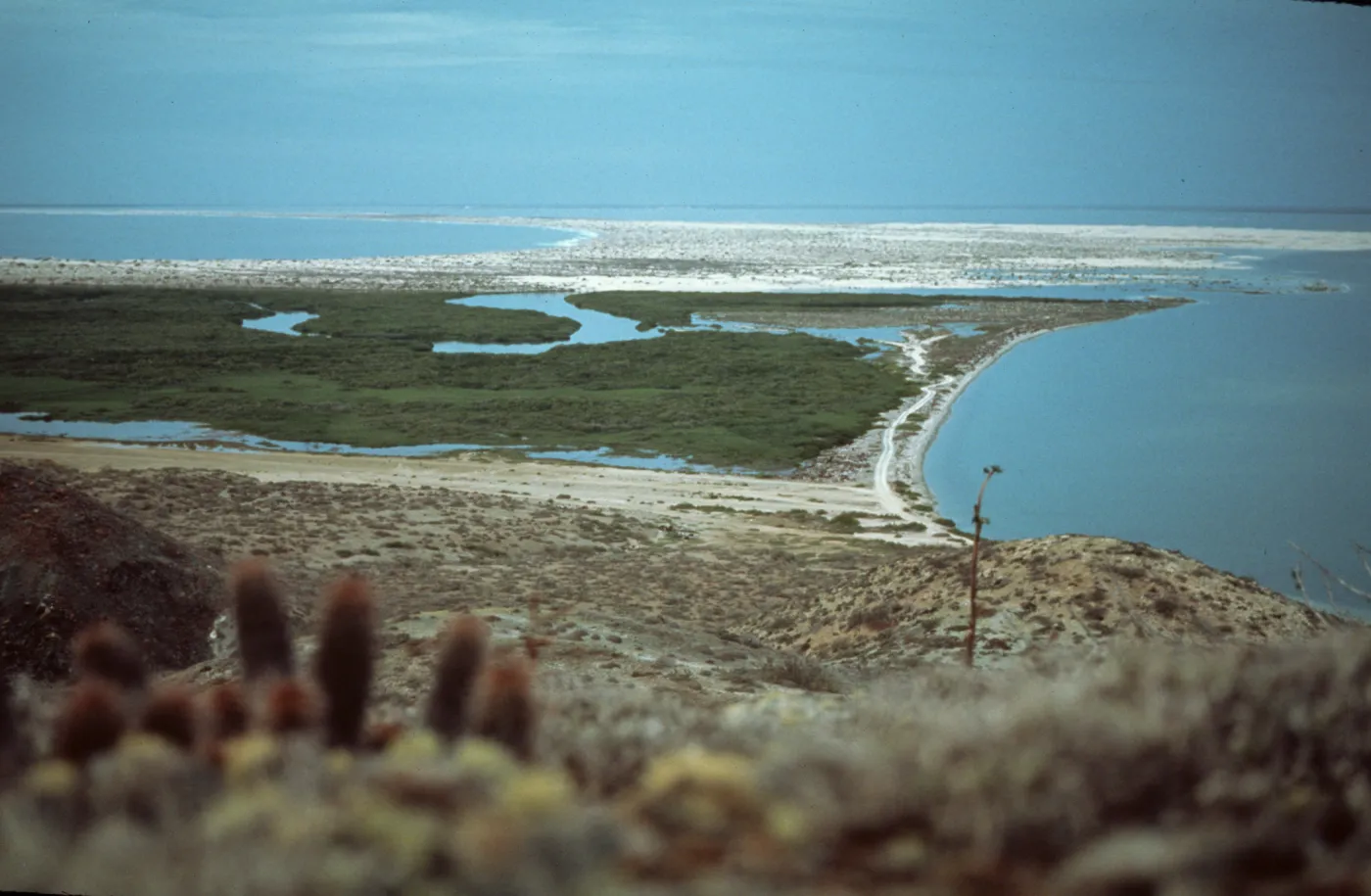 Santa Margarita Island