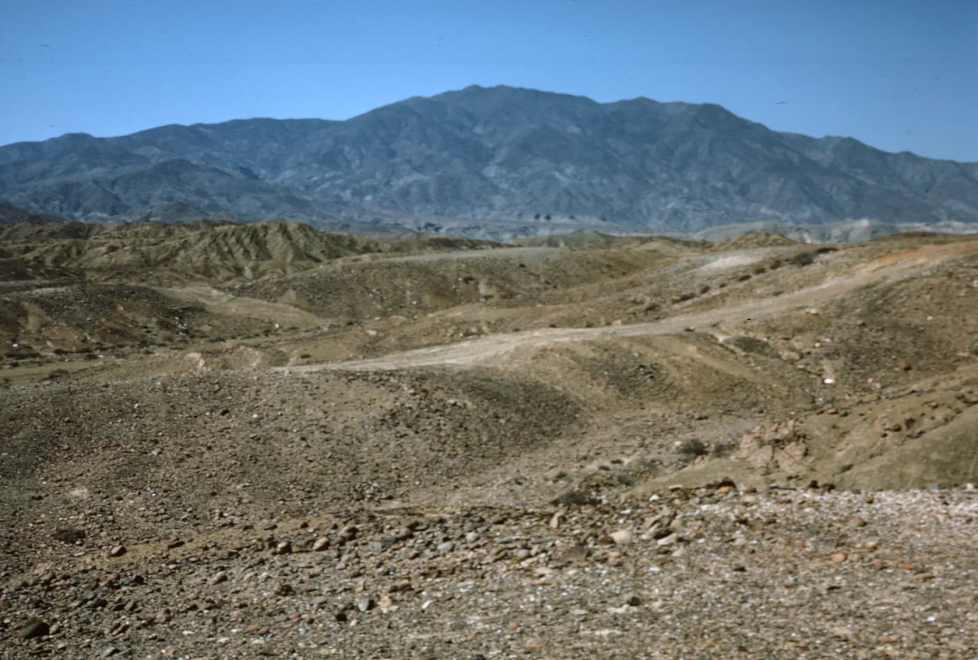 Monte Cedros, Cedros Island