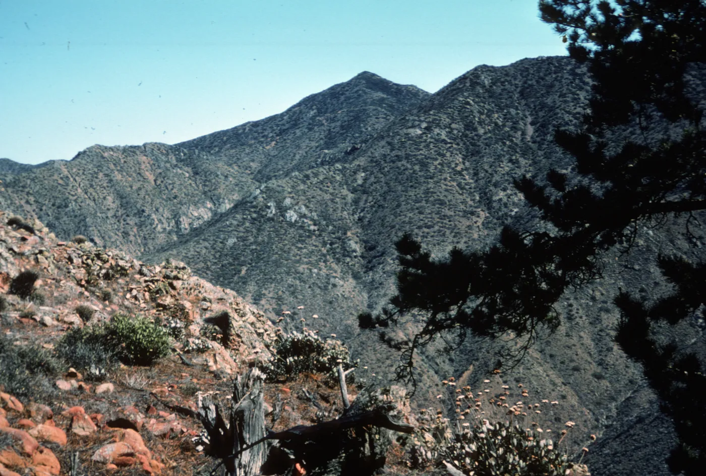peaks south of Pine ridges, Isla de Cedros