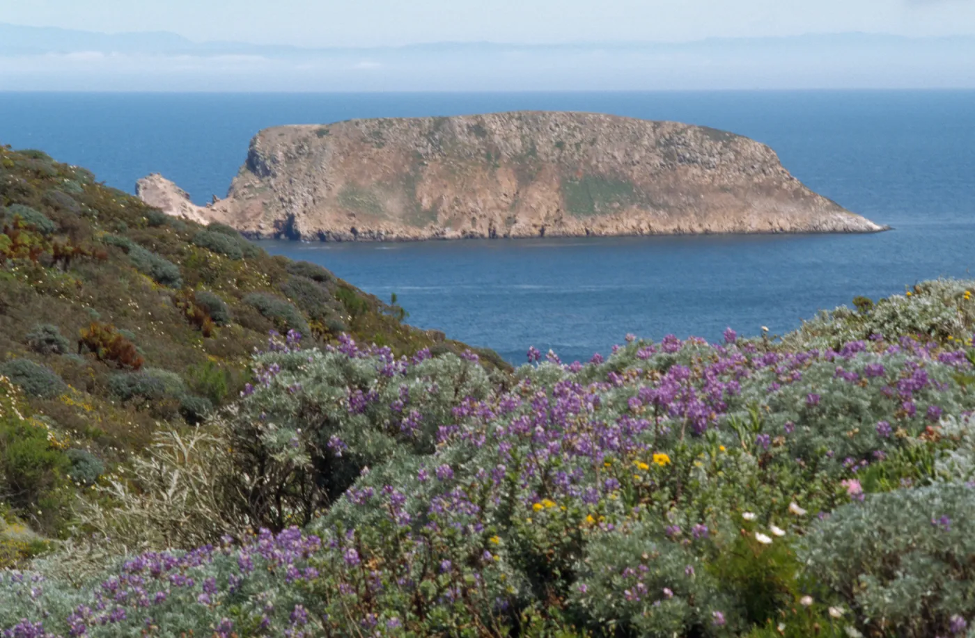 Prince Island, San Miguel Island