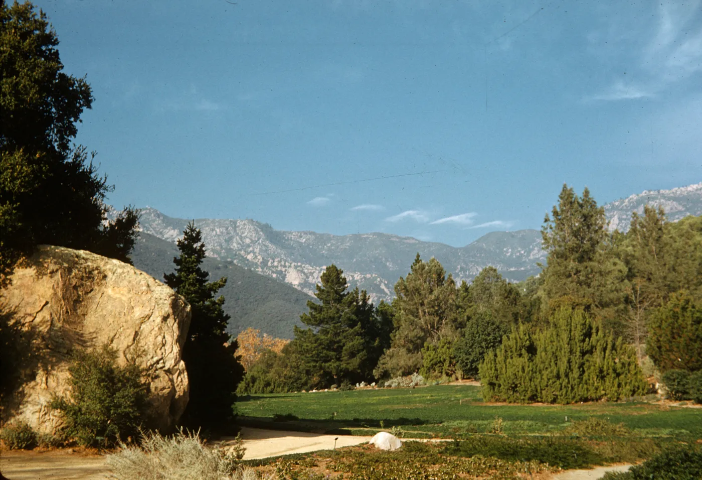 Meadow view to the mountains