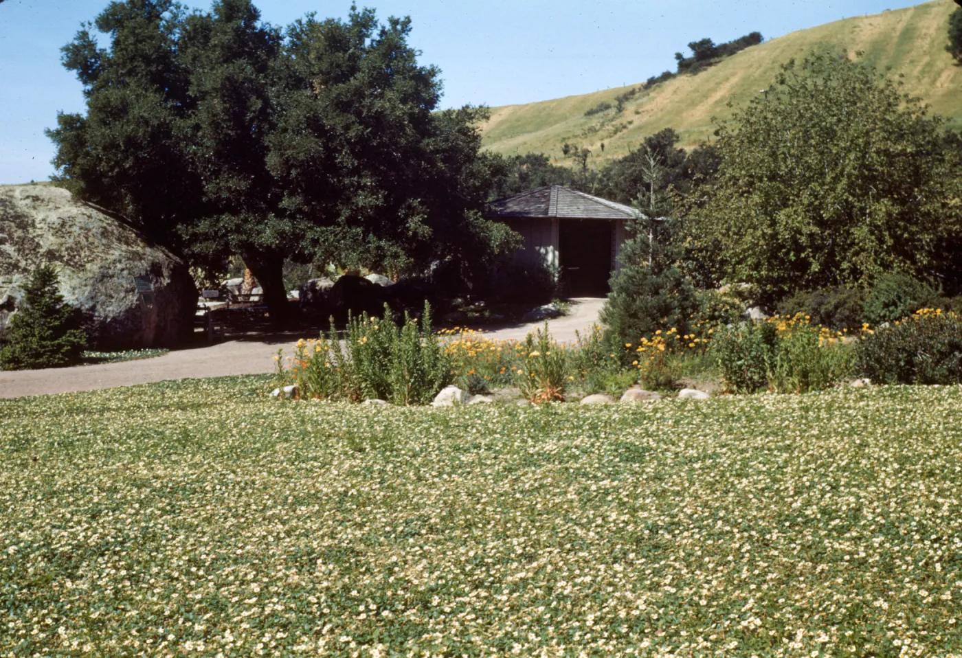 Information Kiosk and strawberry Meadow