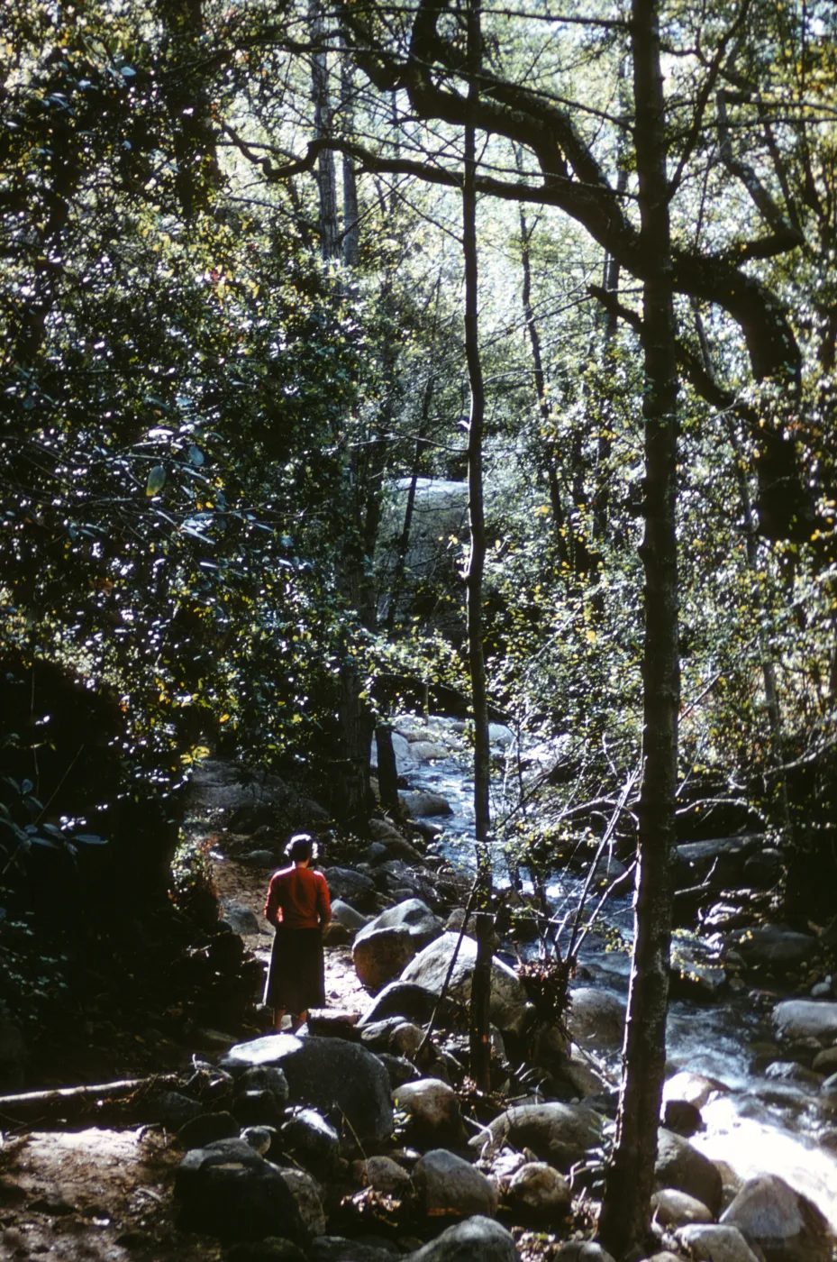 Canyon Trail along Mission Creek