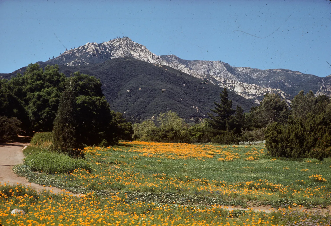 2:30 p.m. (Meadow 1940s-1950s)