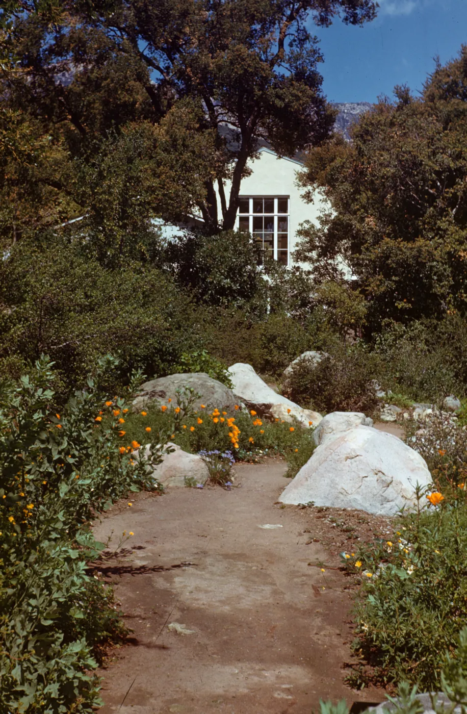 Blaksley Library from Manzanita Section
