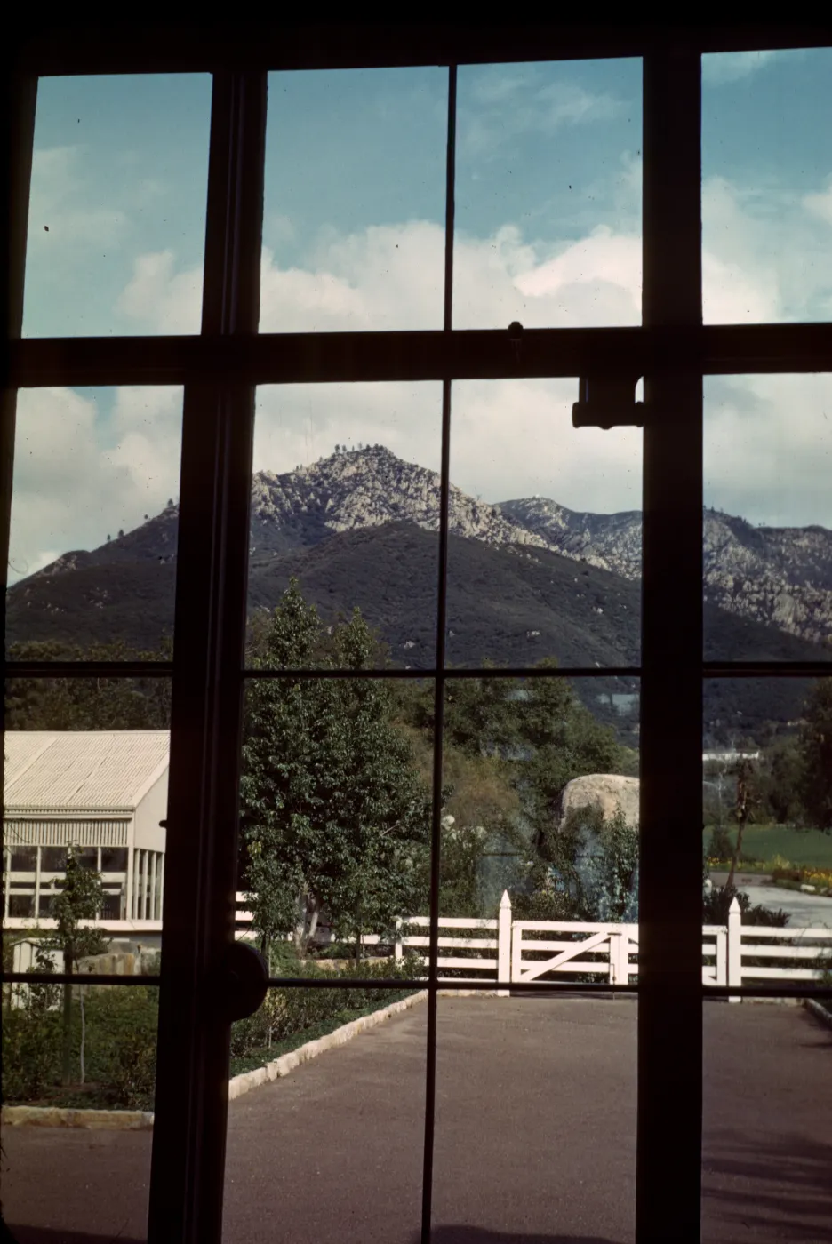 Garden through Library Window