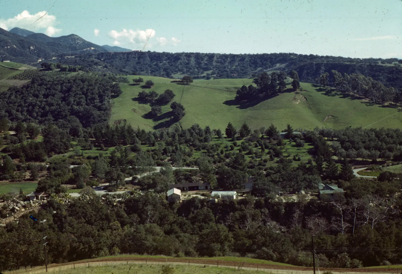Garden overview