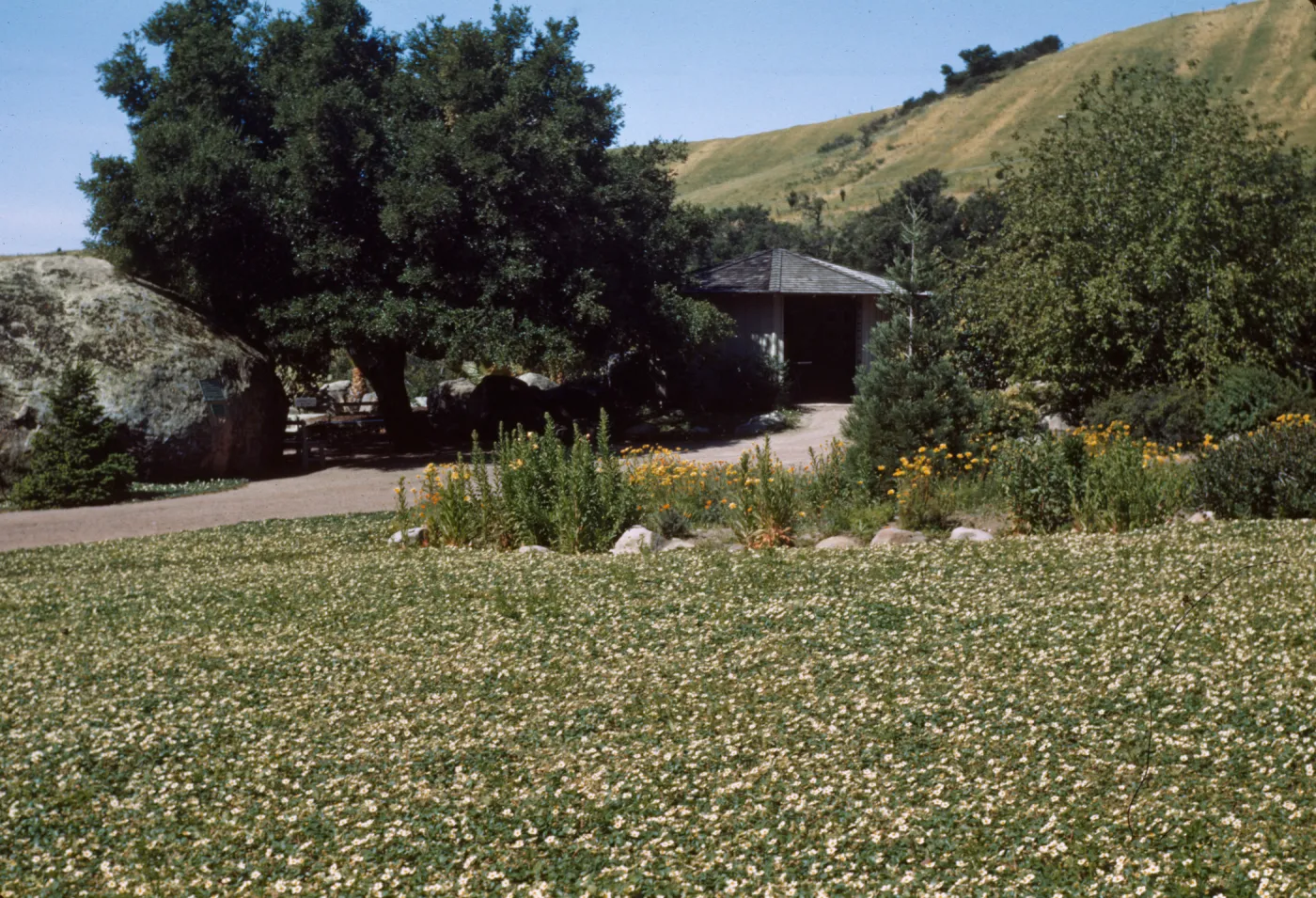 Information Center and Blaksley Boulder