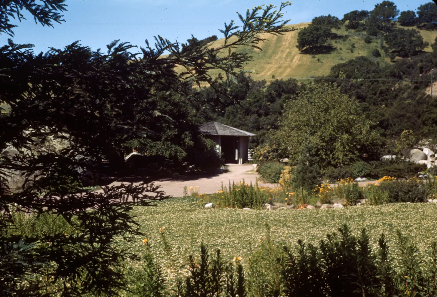 Across meadow to Information Center