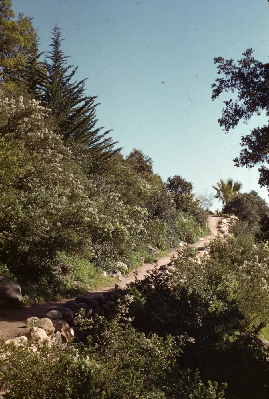 Campbell trail