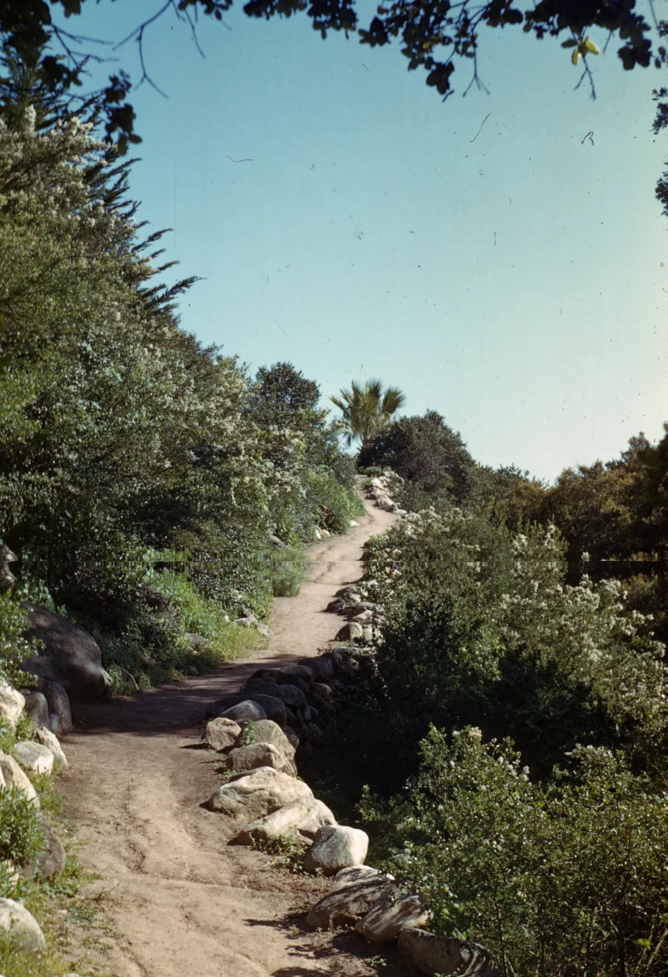 Campbell Trail, view up to Desert Section
