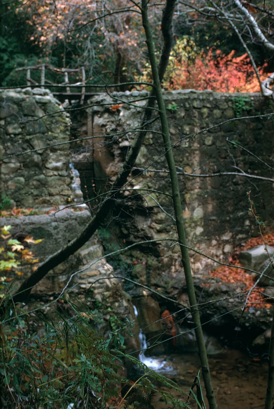 Old Mission Dam, Fall 1970 