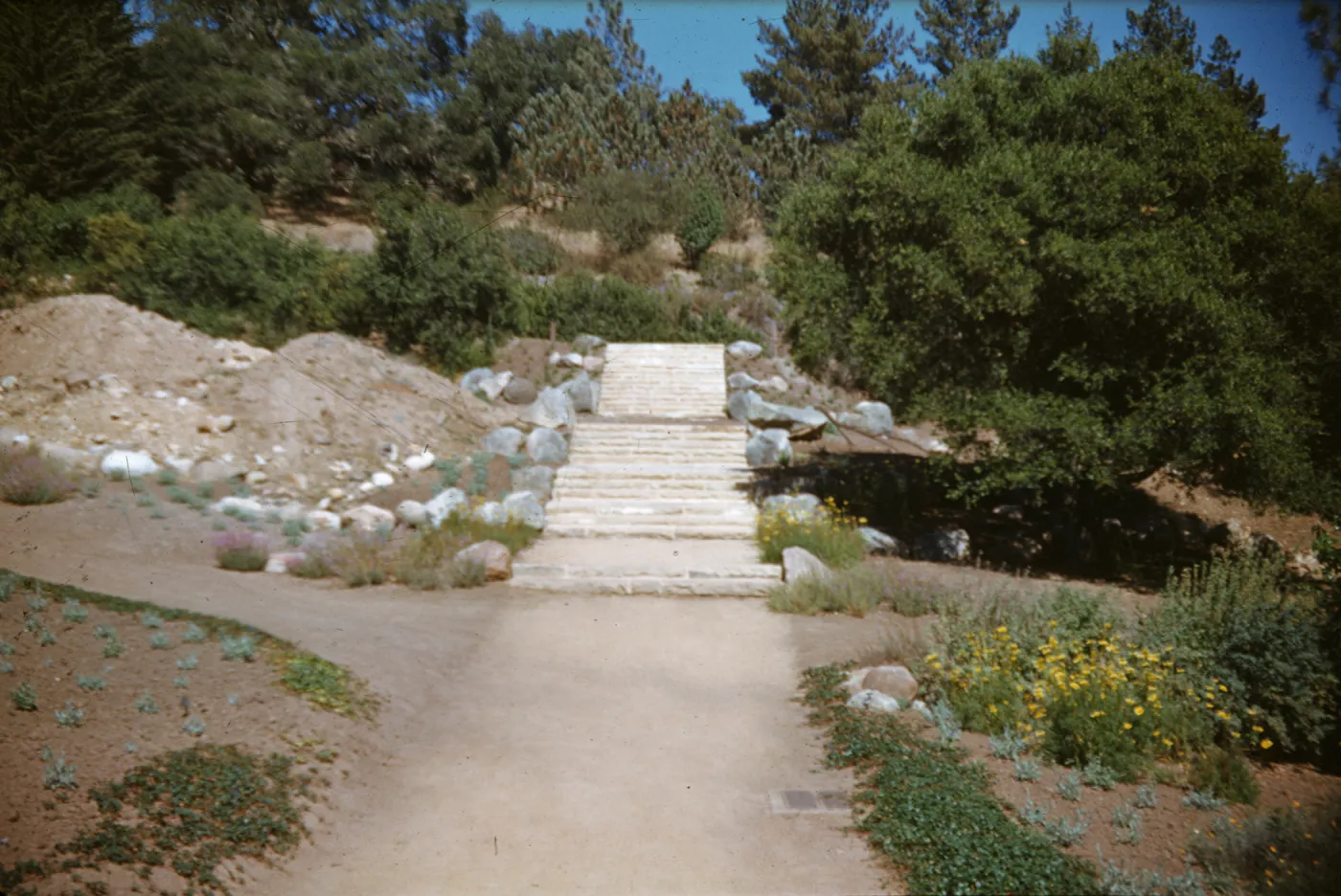 construction of old Entrance steps, Clara Small Smith Steps