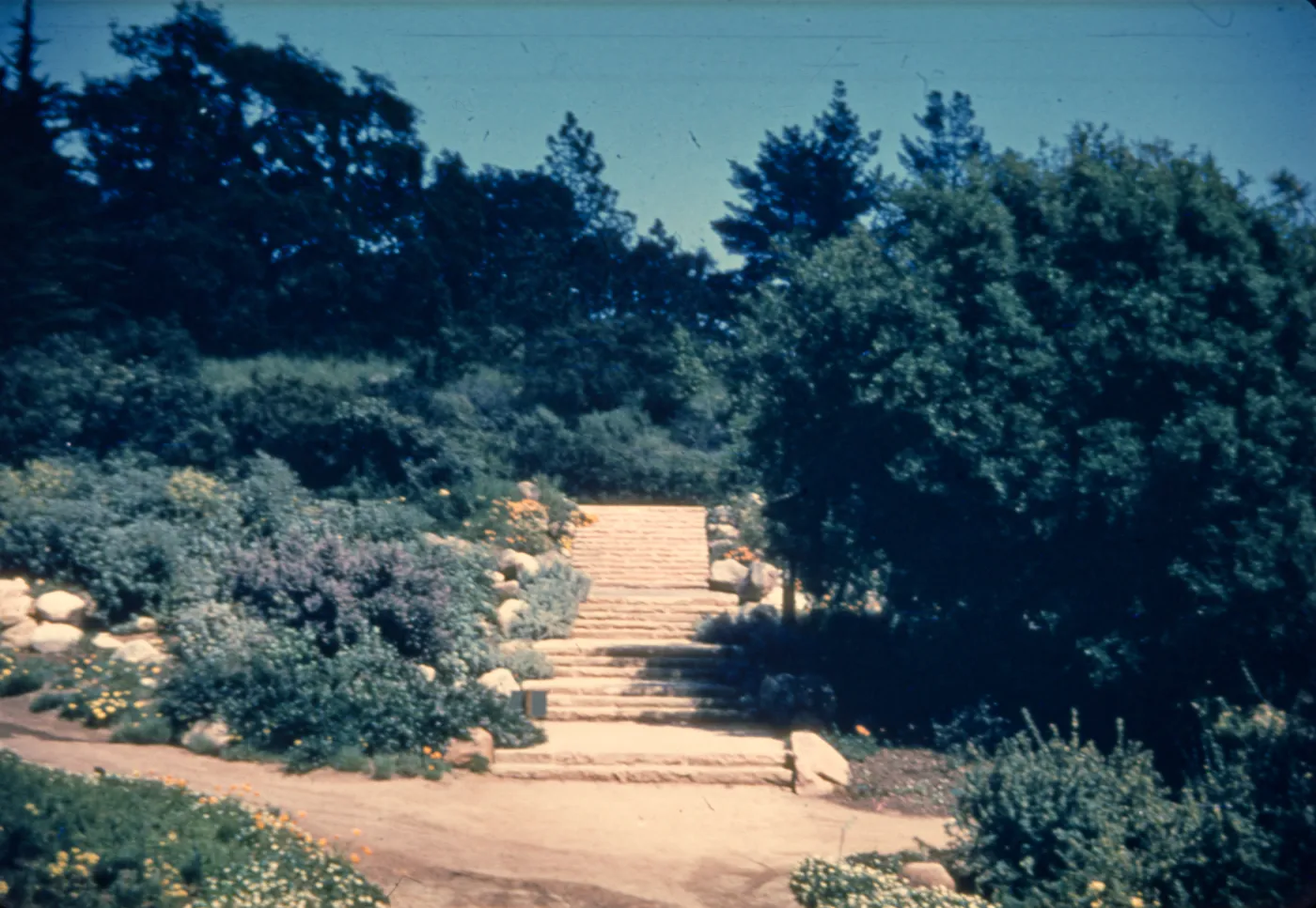Old Entrance Steps