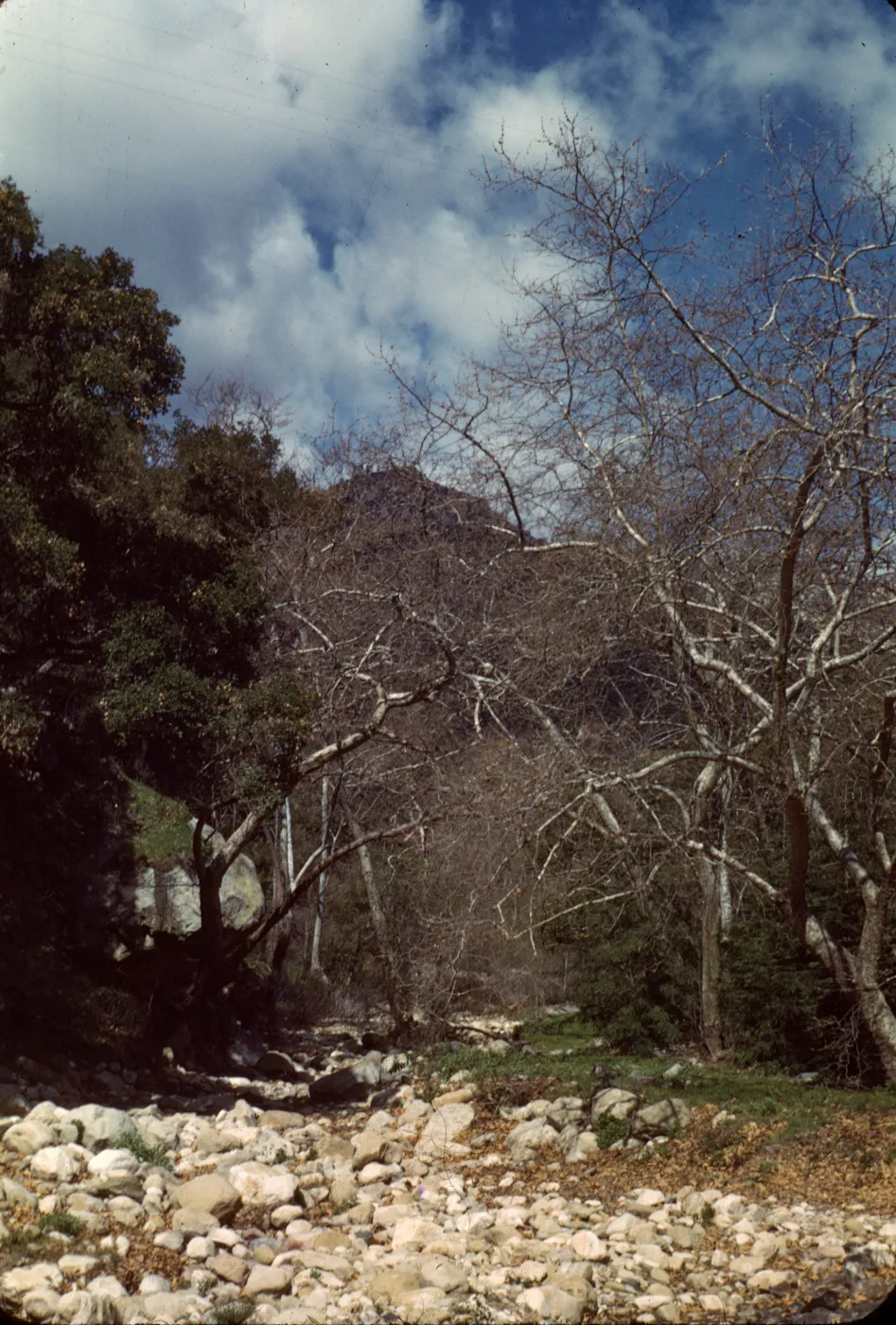 Mission Creek above Mission Dam, Mission Canyon