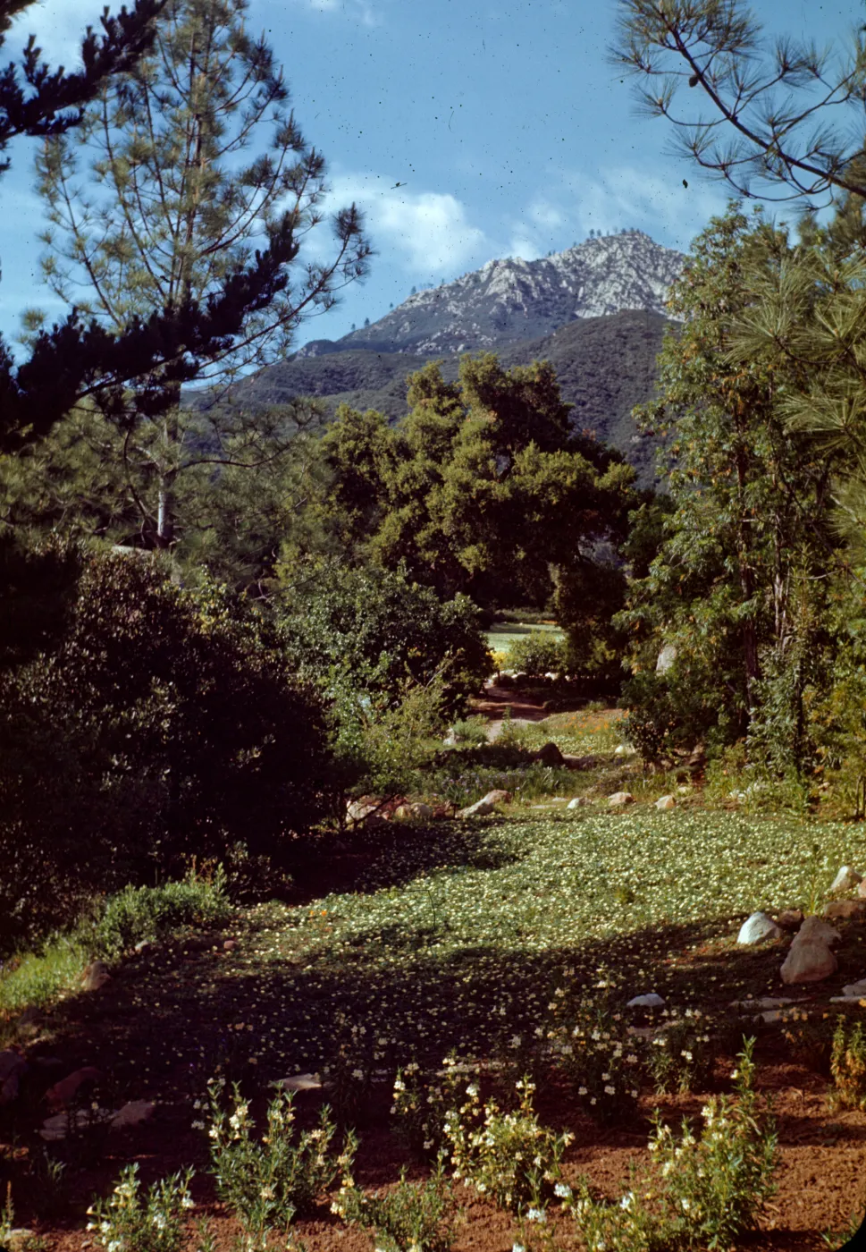 Original Island Trail