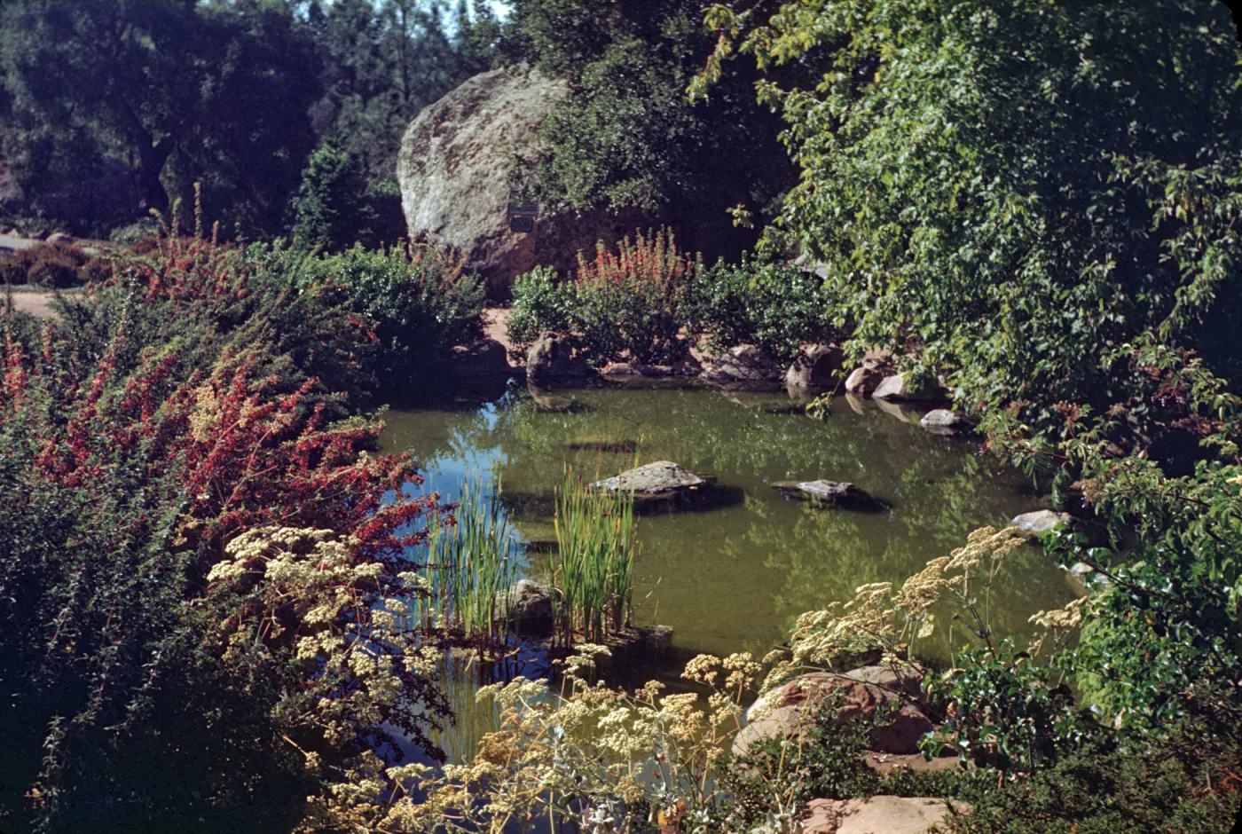 Meadow Pond and Blaksley Boulder