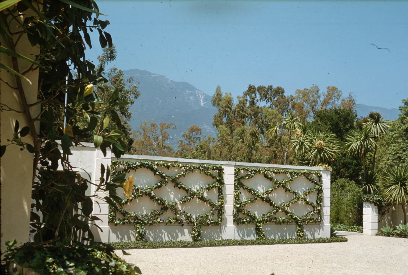Palme Garden, Santa Barbara