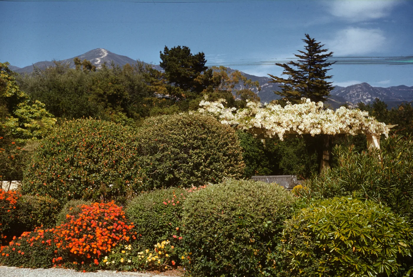 formal hedge garden with pergola