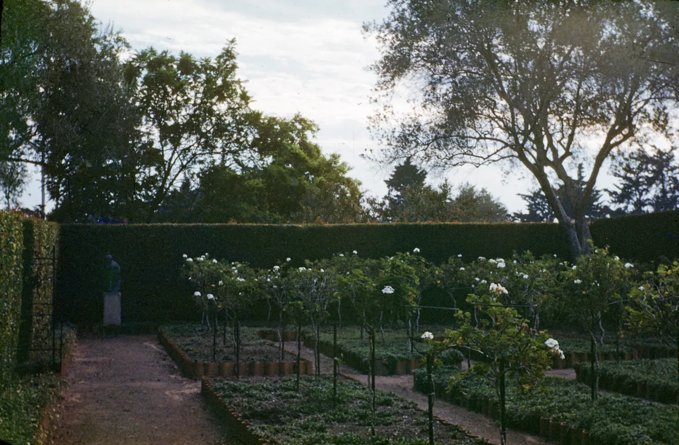 Leadbetter Gardens, Santa Barbara, Las Tejas
