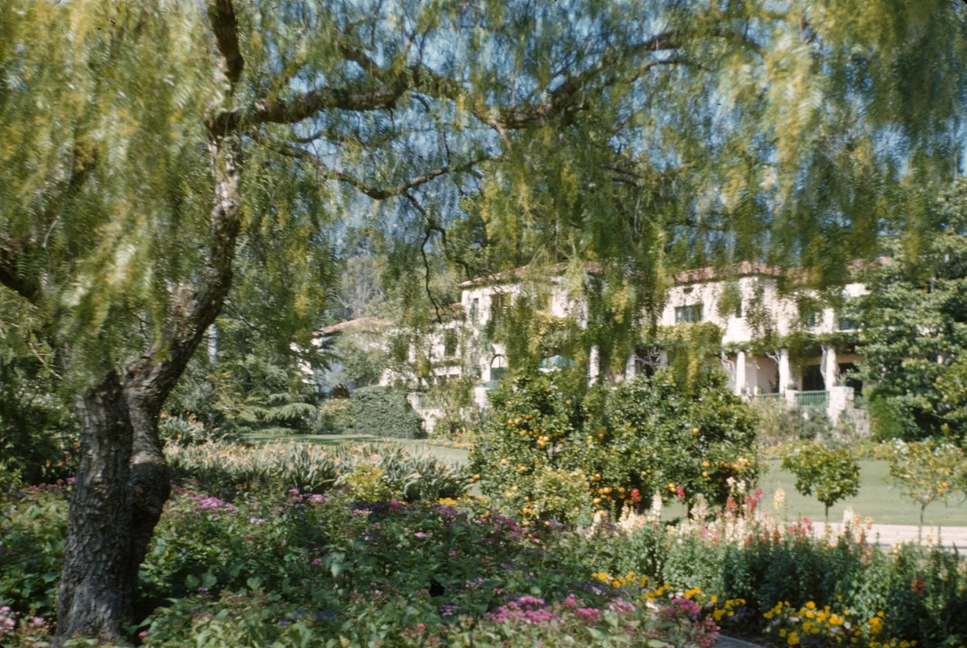 Amy Du Pont Gardens, Santa Barbara