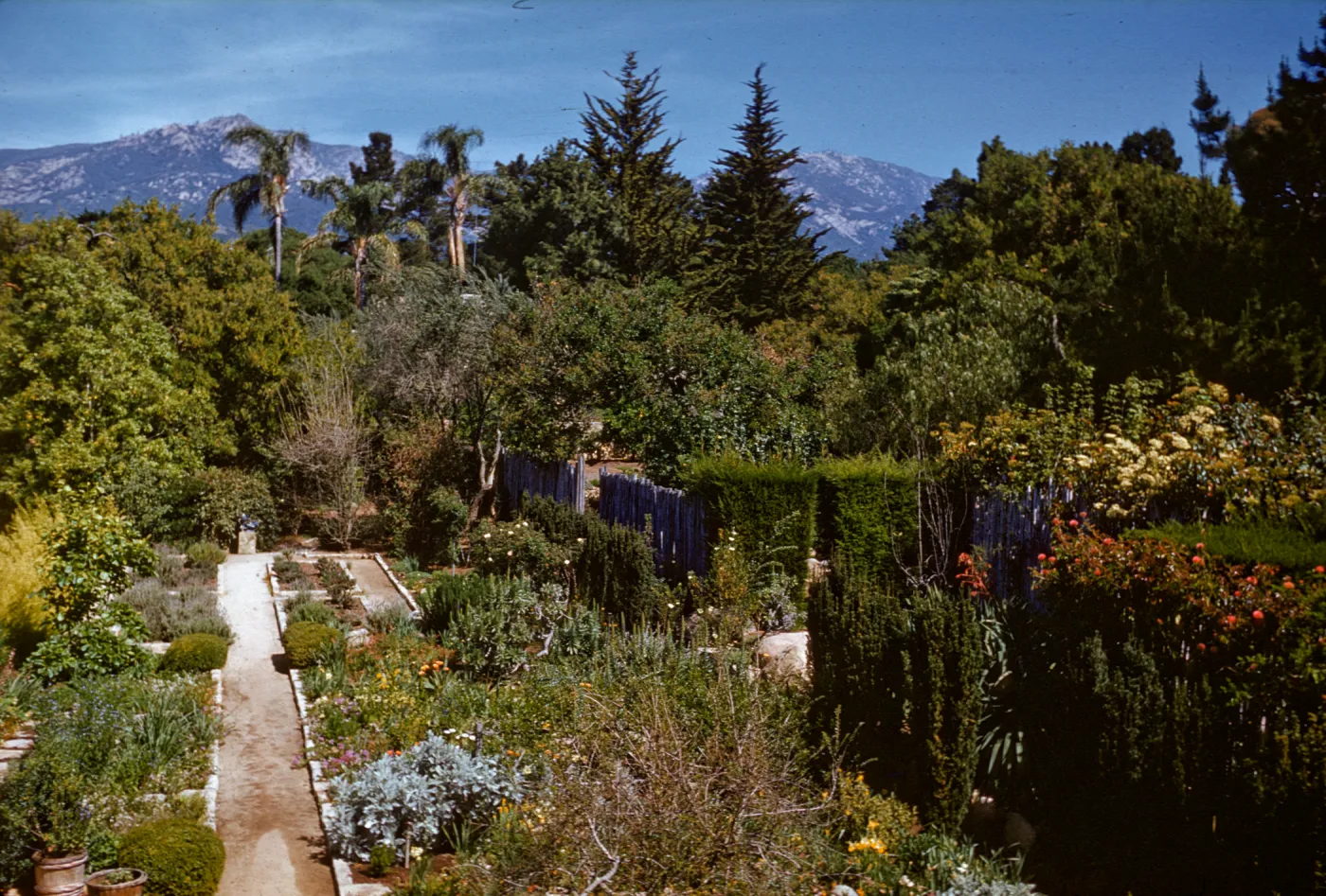 De Forest Garden?