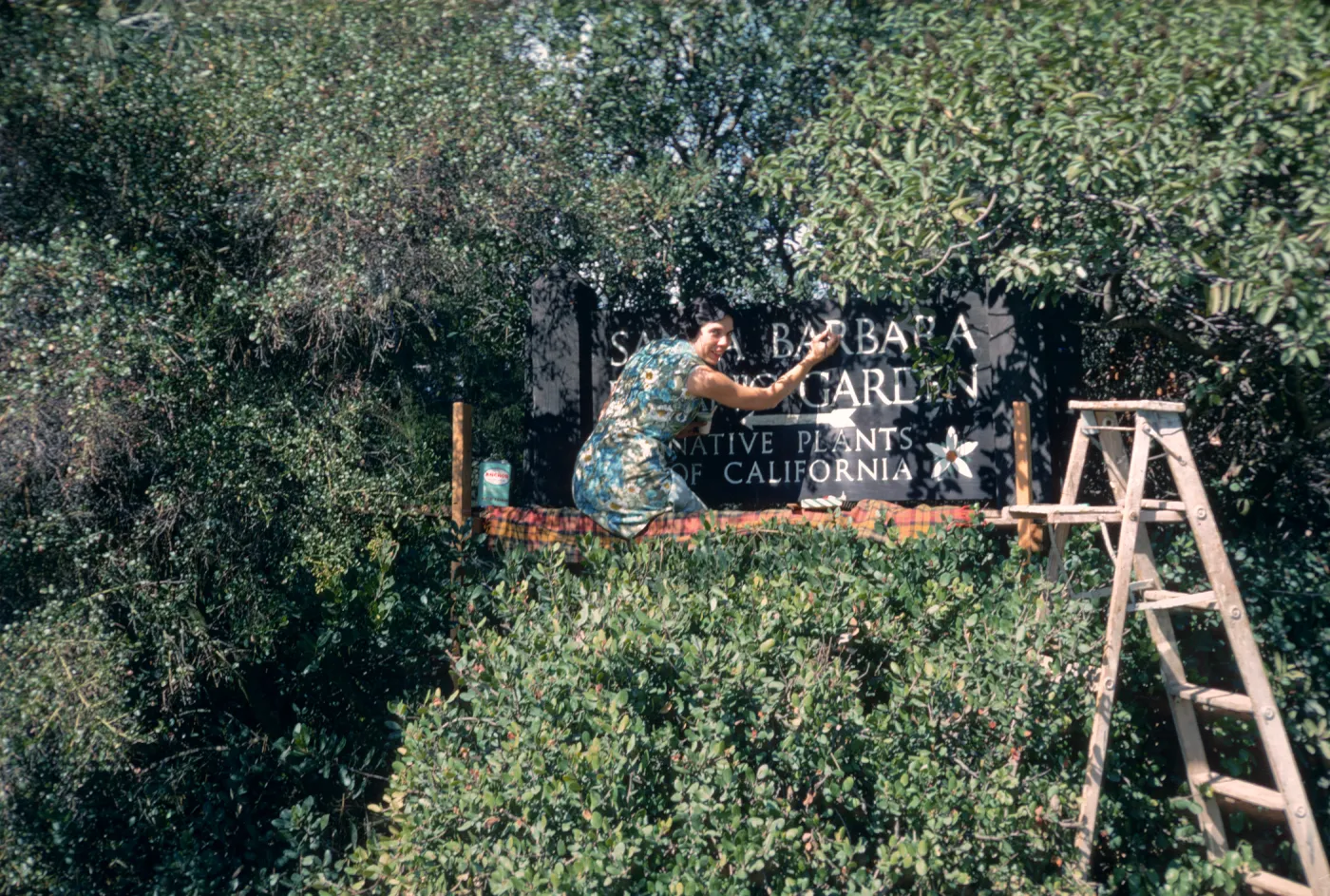 Jacqueline Broughton painting the SBBG entrance sign