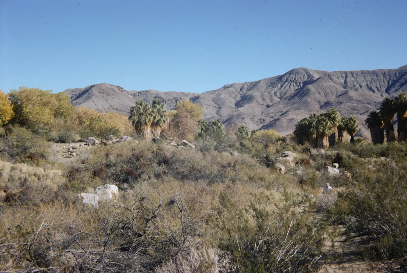Andreas Canyon