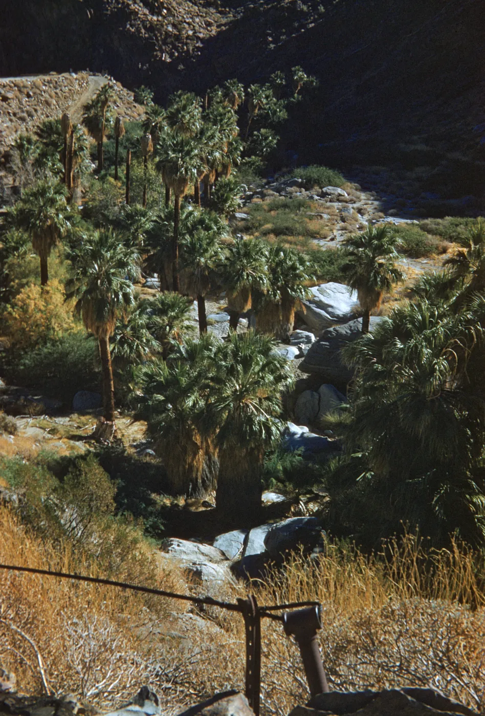 Palm Valley, Palm Springs