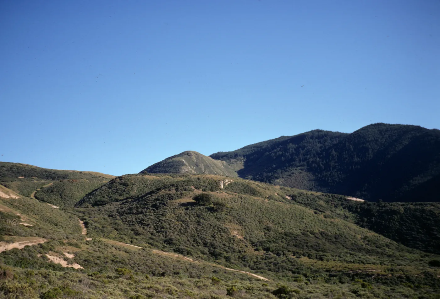 Montana de Oro, chaparral