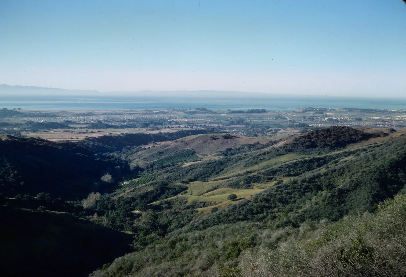 Santa Barbara from San Marcos Pass, chaparral