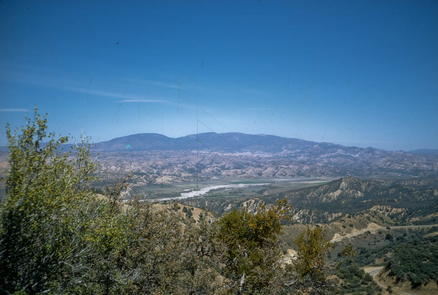 Chaparral