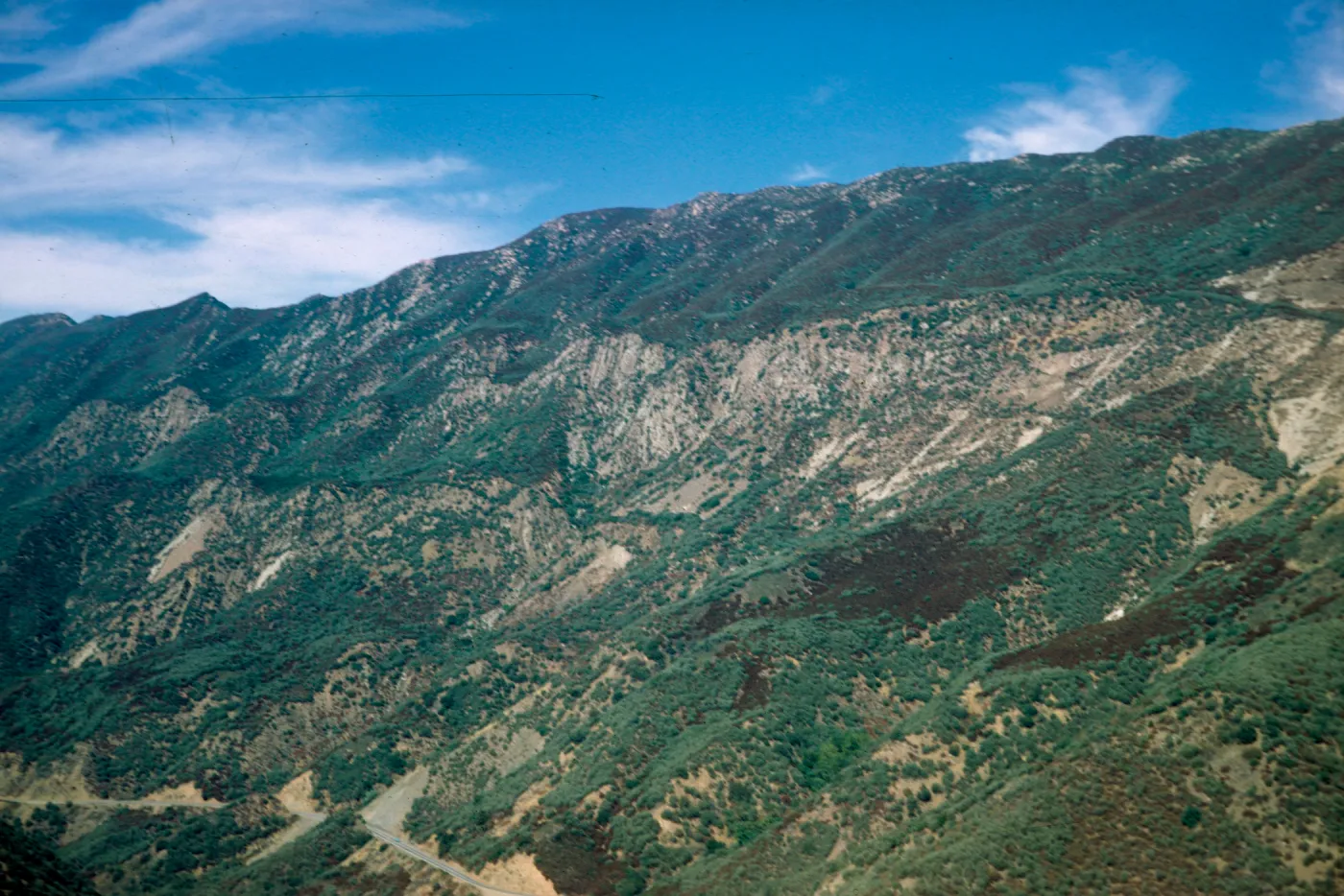 Sespe