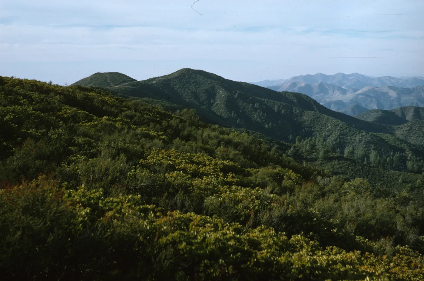Figueroa Mountain