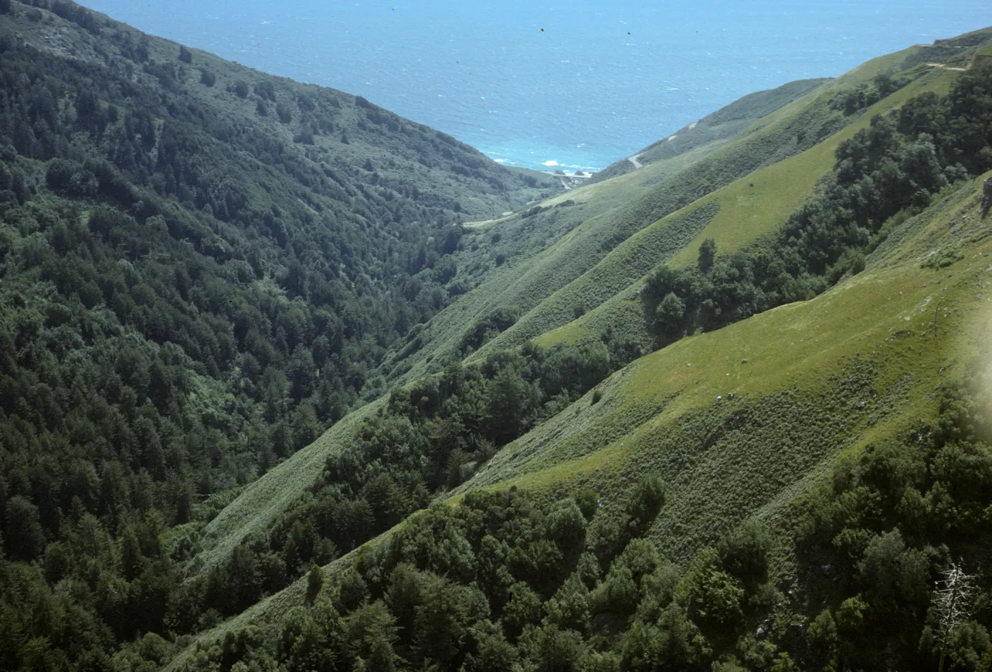 view to Pacific Ocean from Jolon Road