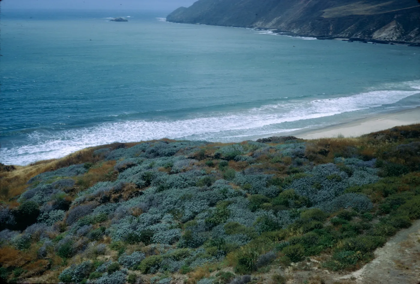 Point Sal