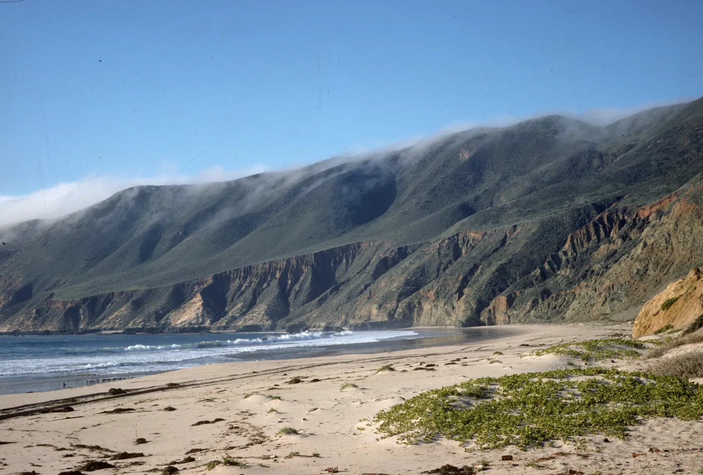 beach at Point Sal