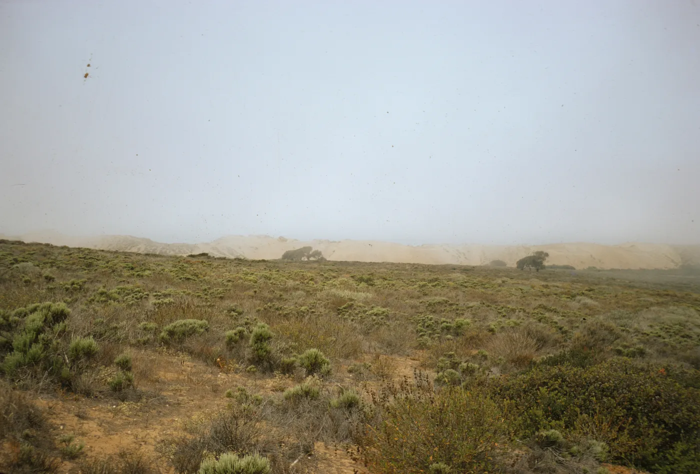 mists of Morro Bay