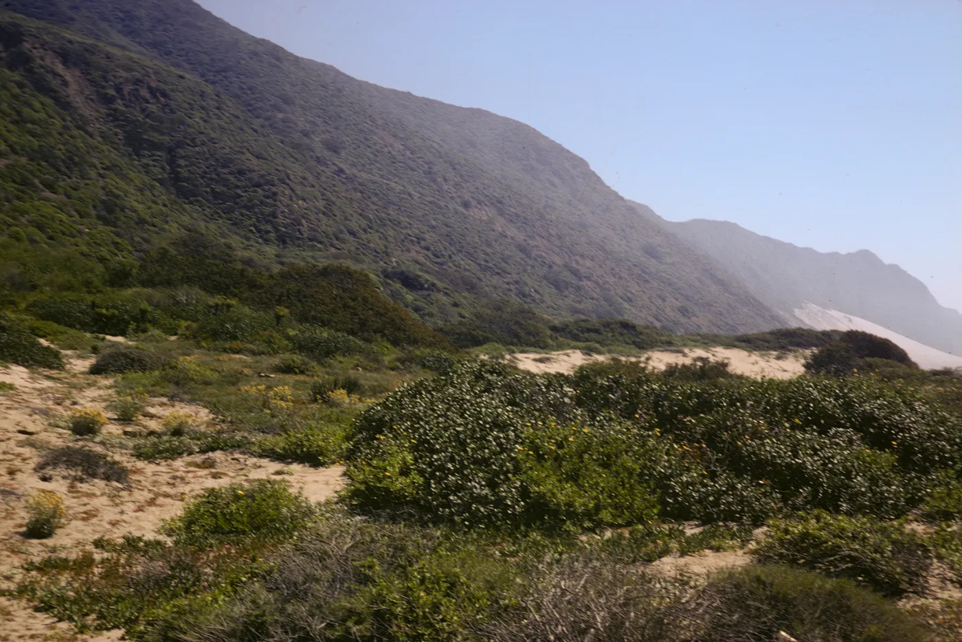 sand dunes, near Point Mugu